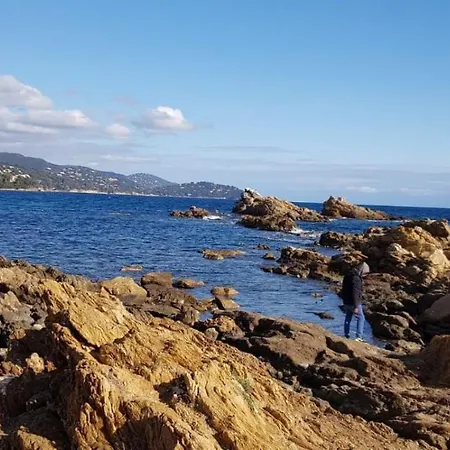 Avec Terrasse 2 Personnes Le Lavandou